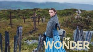 The Wonder