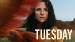 Tuesday