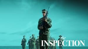 The Inspection
