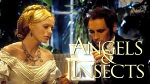 Angels and Insects