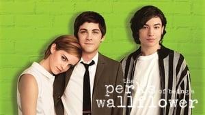 The Perks of Being a Wallflower