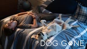 Dog Gone
