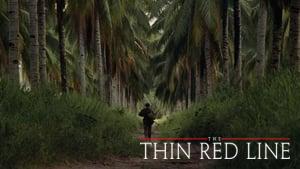 The Thin Red Line