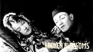 Broken Blossoms or The Yellow Man and the Girl