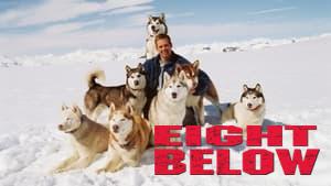 Eight Below