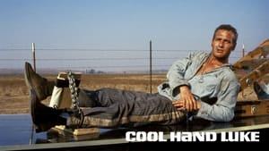 Cool Hand Luke