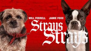 Strays