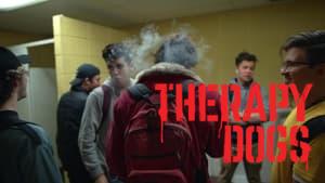Therapy Dogs