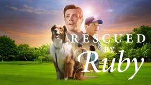 Rescued by Ruby