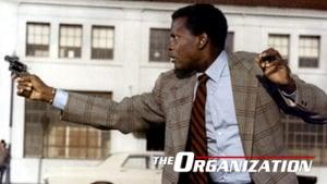The Organization