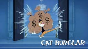 Cat Burglar