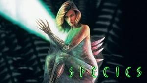 Species