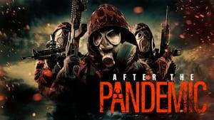 After the Pandemic
