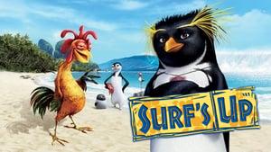 Surf's Up