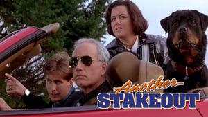 Another Stakeout