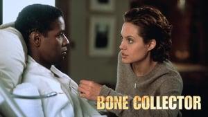 The Bone Collector