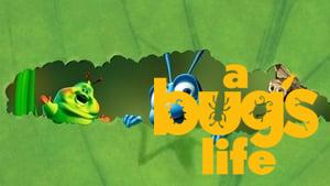 A Bug's Life