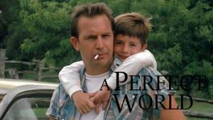A Perfect World