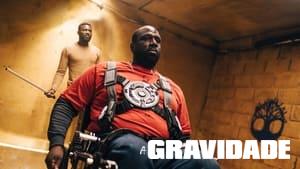 The Gravity