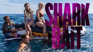 Shark Bait