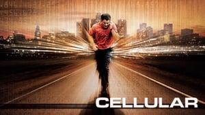 Cellular