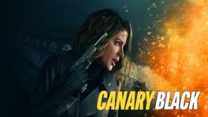 Canary Black