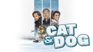 Cat and Dog