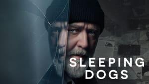 Sleeping Dogs