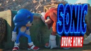 Sonic Drone Home