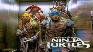 Teenage Mutant Ninja Turtles
