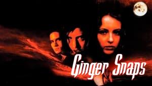 Ginger Snaps