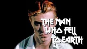The Man Who Fell to Earth