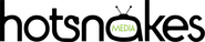 Hot Snakes Media Logo