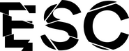 Electric Shadow Company Logo