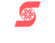 Salon Films Logo