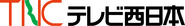 Television Nishinippon Corporation Logo