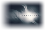 Lifexpressions Logo