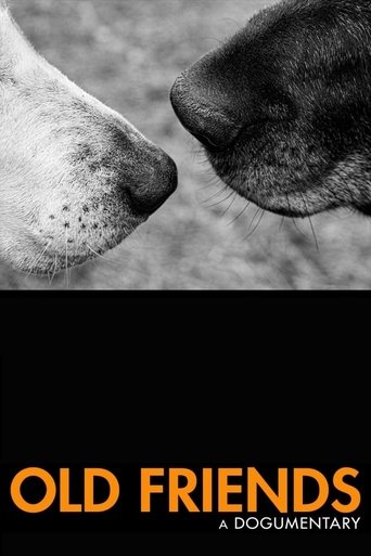 Old Friends: A Dogumentary Poster