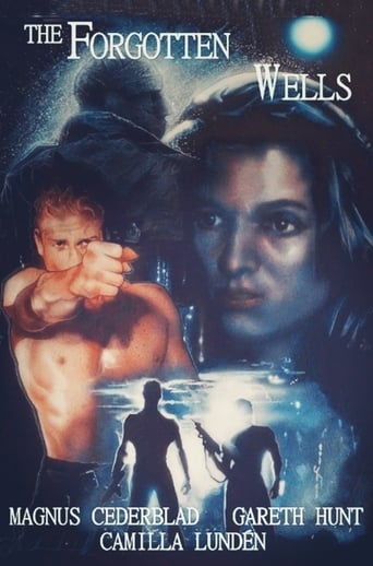 The Forgotten Wells Poster