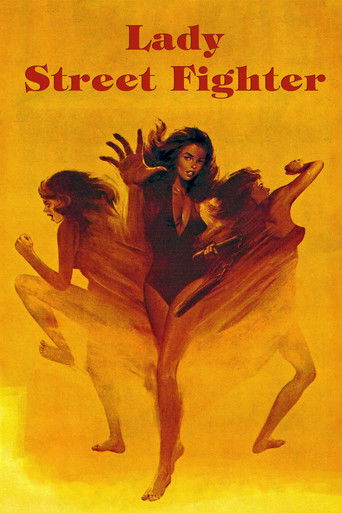 Lady Street Fighter Poster