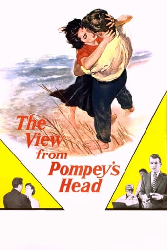 The View from Pompey's Head Poster