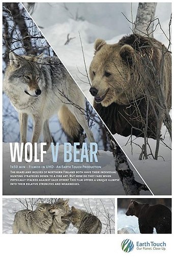 Wolf vs Bear Poster