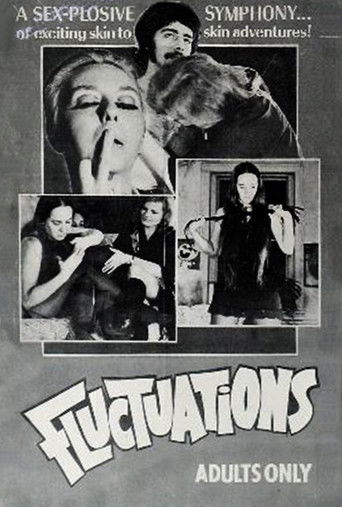 Fluctuations Poster