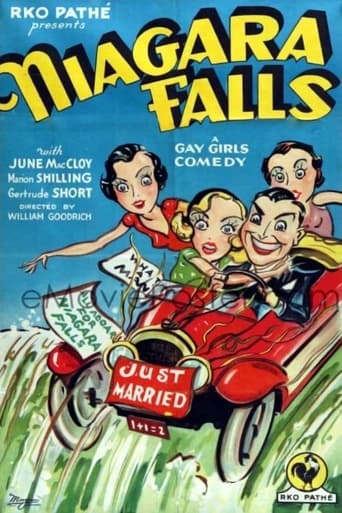 Niagara Falls Poster