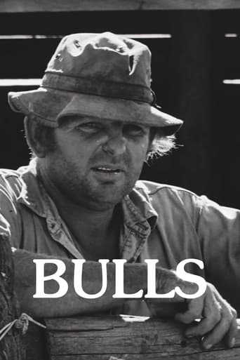 Bulls Poster