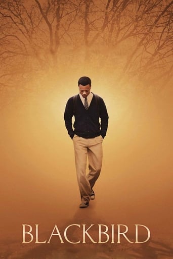 Blackbird Poster