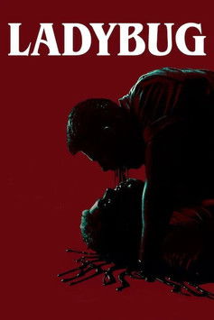 Ladybug Poster