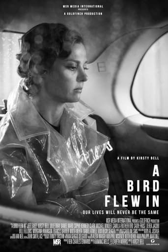 A Bird Flew In Poster