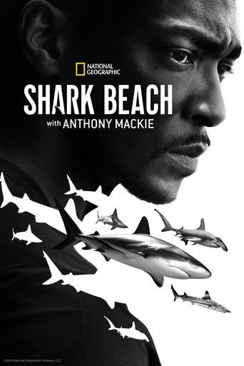 Shark Beach with Anthony Mackie Poster