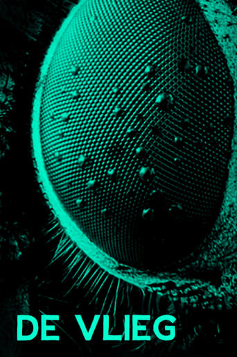 The Fly Poster